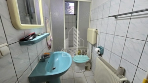 Casa individuala, zona Mehala - Cetatii, teren generos - imagine 10