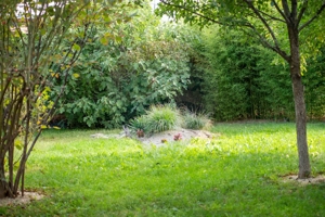 Casă / Vilă cu 10 camere si teren generos, Sos. Salaj - imagine 5