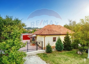 Casă de vanzare in Bazosu Nou