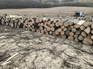 vand lemne de foc esenta tare carpen cu stejar transport la domiciliu 
