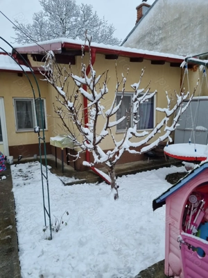  Casă 3 camere, poziție EXCELENTĂ-Campina   gata de mutat! - imagine 3