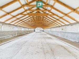 Hală pentru producție / fermă zootehnică  - Variaș - imagine 12
