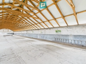 Hală pentru producție / fermă zootehnică  - Variaș - imagine 15