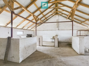 Hală pentru producție / fermă zootehnică  - Variaș - imagine 14