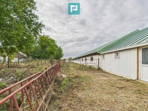 Hală pentru producție / fermă zootehnică  - Variaș - imagine 19