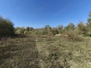 Teren imprejmuit cu iaz indiguit, 7200mp, Fratautii Vechi, Radauti - imagine 3