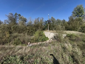 Teren imprejmuit cu iaz indiguit, 7200mp, Fratautii Vechi, Radauti - imagine 2