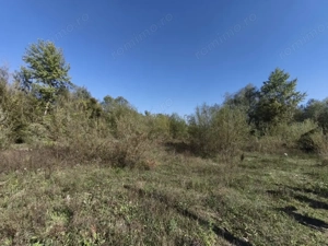 Teren imprejmuit cu iaz indiguit, 7200mp, Fratautii Vechi, Radauti - imagine 7