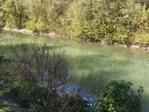 Teren imprejmuit cu iaz indiguit, 7200mp, Fratautii Vechi, Radauti - imagine 4