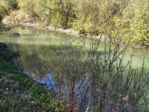 Teren imprejmuit cu iaz indiguit, 7200mp, Fratautii Vechi, Radauti - imagine 8