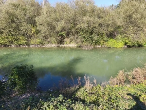 Teren imprejmuit cu iaz indiguit, 7200mp, Fratautii Vechi, Radauti - imagine 6