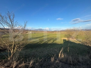 Teren extravilan 1000 mp, zona Livezile