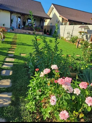 Duplex 3 camere - Bucovat - Curte amenajata - imagine 5