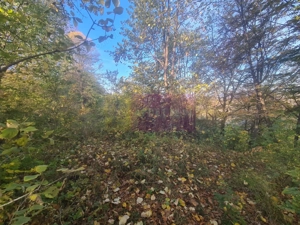 Teren intravilan de vanzare in Telega - imagine 18