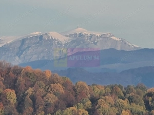 Teren intravilan de vanzare in Telega - imagine 2