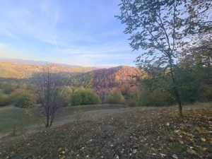 Teren intravilan de vanzare in Telega - imagine 15