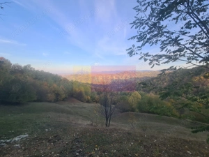 Teren intravilan de vanzare in Telega - imagine 13