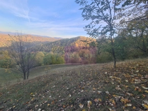 Teren intravilan de vanzare in Telega - imagine 16