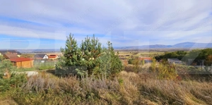 Casă de vanzare, sub pădure, într-un cadru natural deosebit – Sâncraiu - imagine 14