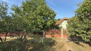 Teren cu casa batraneasca de vanzare Taut jud. Arad