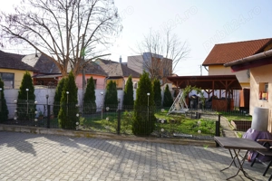 caut om NUMAI din Sibiu pentru intretinere gradina - imagine 4