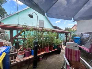 Bocsa Montana Casa 4 camere - imagine 14