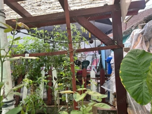 Bocsa Montana Casa 4 camere - imagine 17