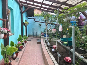 Bocsa Montana Casa 4 camere - imagine 18