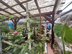 Bocsa Montana Casa 4 camere - imagine 19