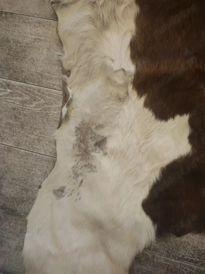 Vând piele de vițel - imagine 3