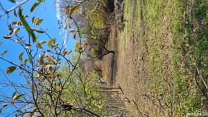 Teren de vânzare în Copou, Viticultori, Iași - imagine 8