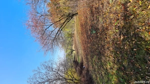 Teren de vânzare în Copou, Viticultori, Iași - imagine 7