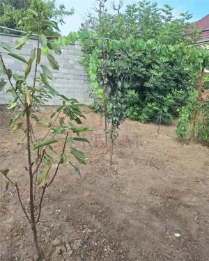 Apartament 1 camera-Centrala-Elisabetin-Curte - imagine 5