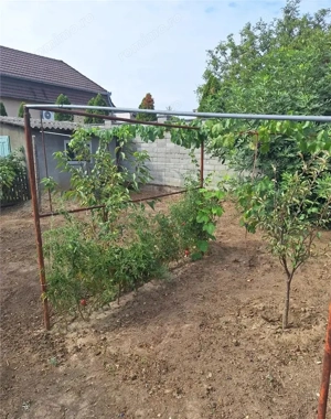 Apartament 1 camera-Centrala-Elisabetin-Curte - imagine 4