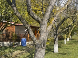 Casute Breaza, teren 1140 mp  - imagine 3