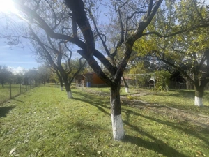 Casute Breaza, teren 1140 mp  - imagine 13