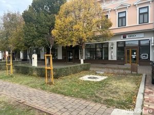 De inchiriat spatii comerciale