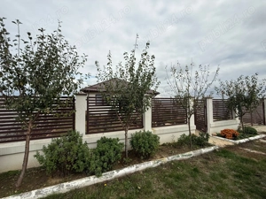 Casa pe parter Clinceni , str Ortansei , teren 640 mp. - imagine 2