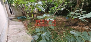 INCHIRIERE APART 3 CAMERE CENTRU - imagine 10 INCHIRIERE APART 3 CAMERE CENTRU - imagine 10