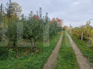 Casa Individuala | 200 MP | Baisa - imagine 2