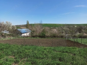 Ultimul lot Dumești Hoisești, intravilan (12 km Iași) | licitar.ro - imagine 2