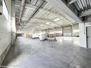 Spatiu  Industrial Hala Pitesti  - imagine 18