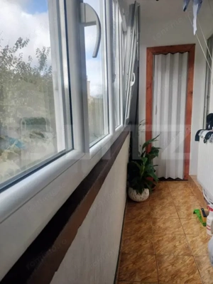 Apartament de vanzare, cu 2 camere, spațios și complet renovat, zona Bălcescu - imagine 8