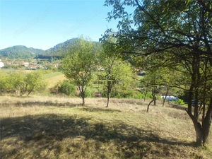 14075 mp teren partial intravilan, cu acces la utilitati - Criscior - imagine 10