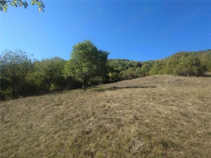 14075 mp teren partial intravilan, cu acces la utilitati - Criscior - imagine 7