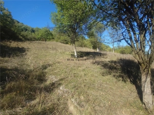 14075 mp teren partial intravilan, cu acces la utilitati - Criscior - imagine 8