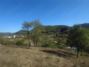 14075 mp teren partial intravilan, cu acces la utilitati - Criscior - imagine 2