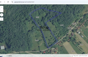 14075 mp teren partial intravilan, cu acces la utilitati - Criscior - imagine 4