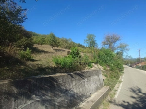 14075 mp teren partial intravilan, cu acces la utilitati - Criscior - imagine 5