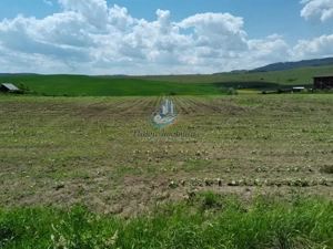 Teren 8500mp+8500 mp, deschidere 32 m+32 m, Negresti, Jud. Neamt - imagine 2